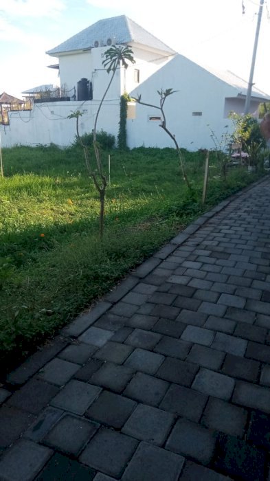DI SEWAKAN TANAH 9 JUTA PER 700m DI CANGGU BALI