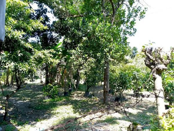 JUAL TANAH SANUR DENPASAR UTARA