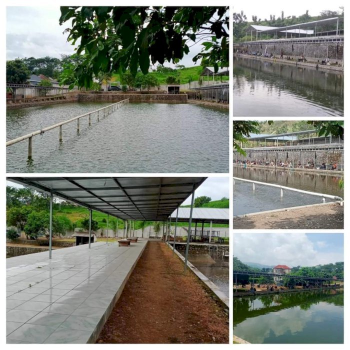 DI JUAL TANAH BONUS USAHA KOLAM PANCING DI lawang pasuruan JAWA TIMUR