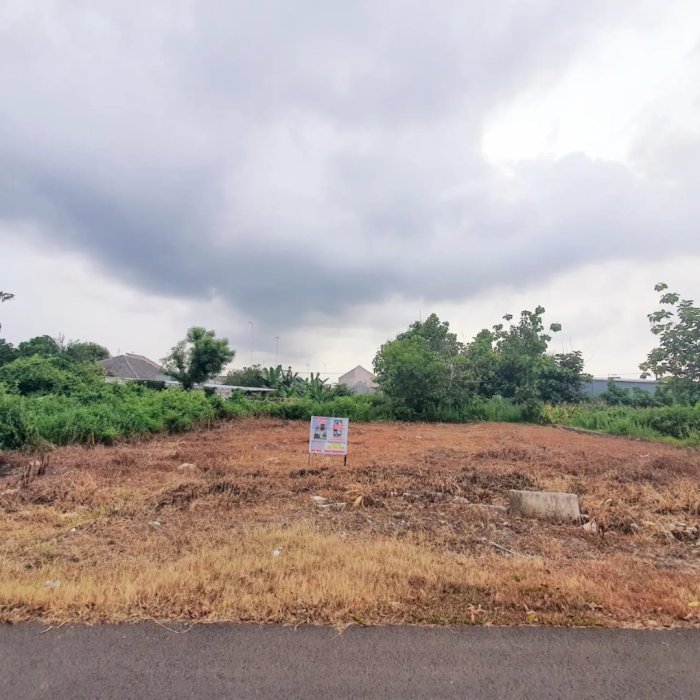 Jual Tanah Strategis SHM Luas 186 m2 Di Daerah Tuban