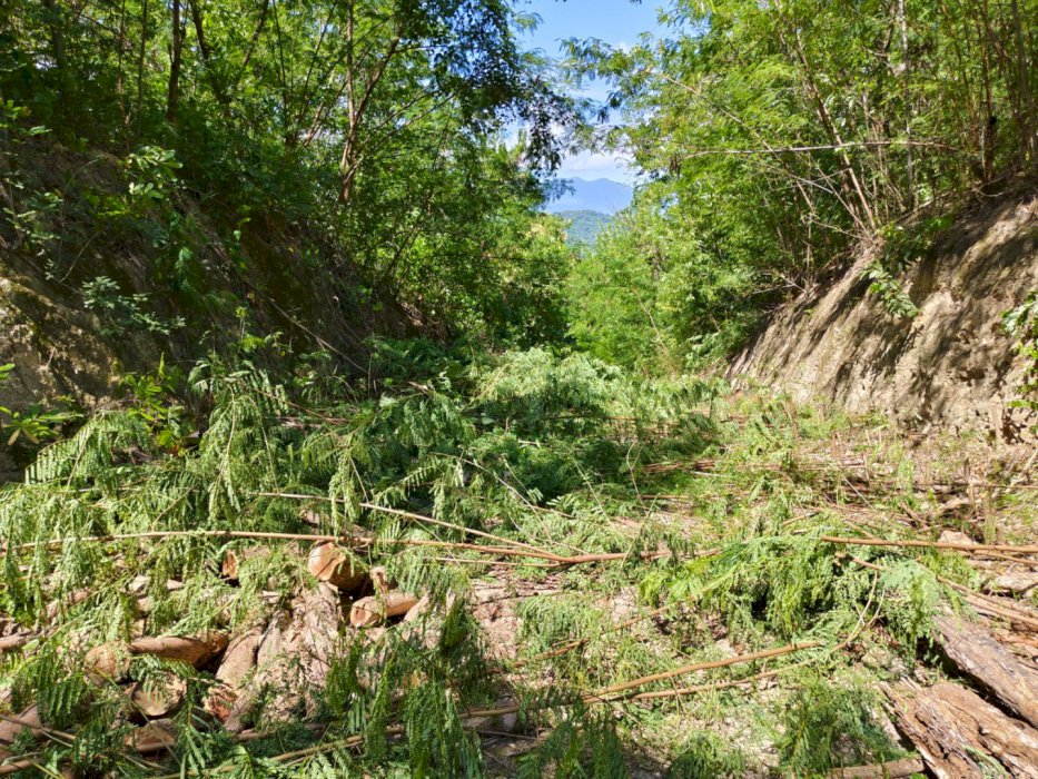 Tanah Labuan Bajo posisi atas bukit view 360 derajat (Laut dan Kota)