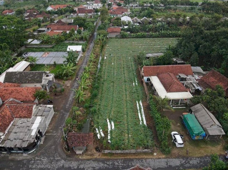 Jual Tanah Kosong Untuk Investasi dan Bisnis Di Panjerejo Tulungagung