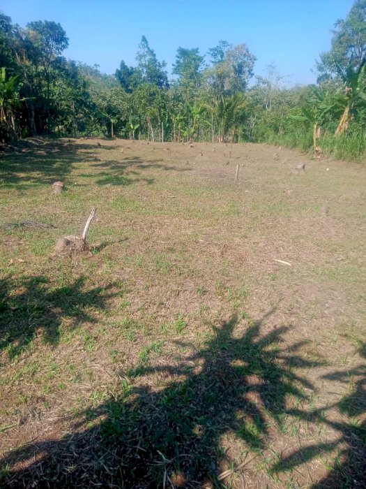 DI JUAL TANAH DI LOKASI TRIMO PASURUAN
