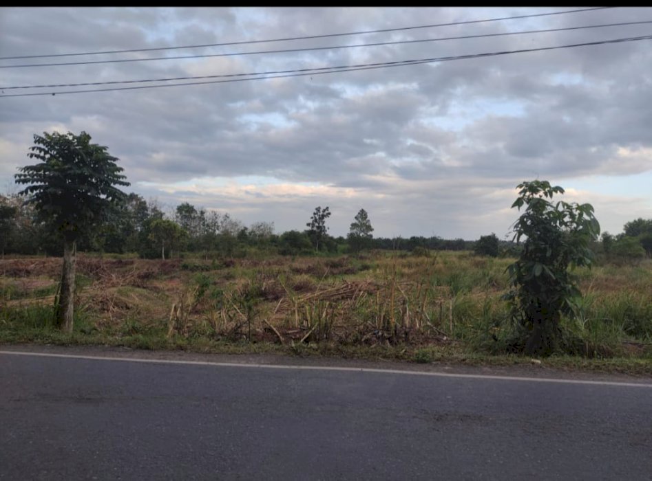 Dijual Tanah Strategis di Kalsel Kesempatan Emas untuk Investasi!