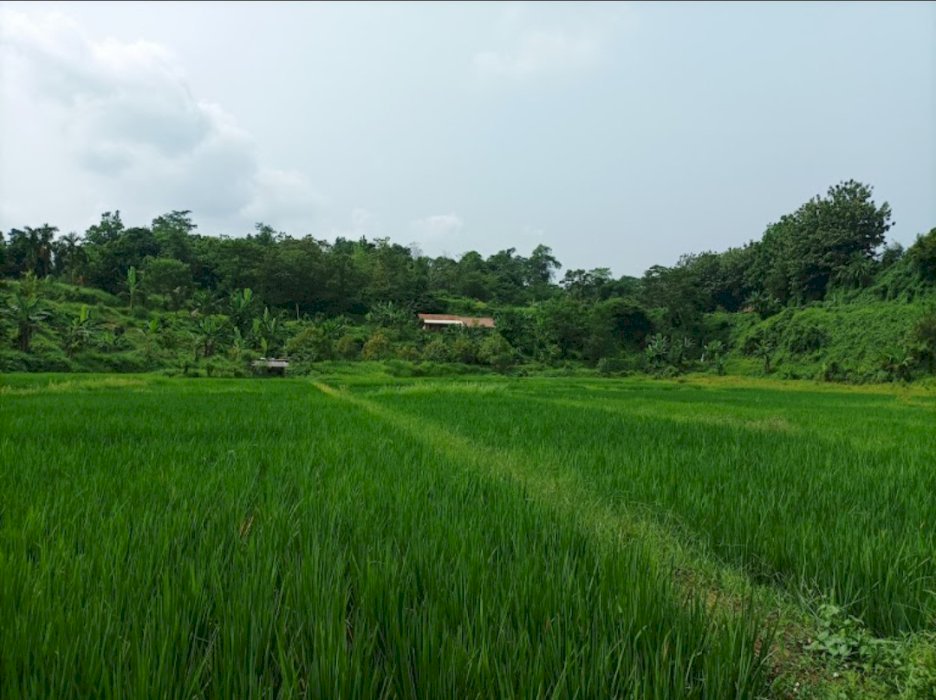 Jual lahan untuk pembangunan pariwisata di area subang jawa barat