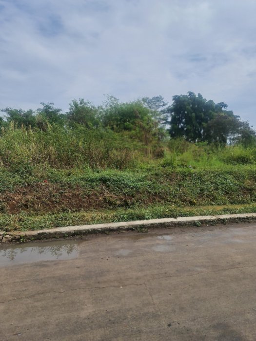 Tanah luas pinggir jalan strategis