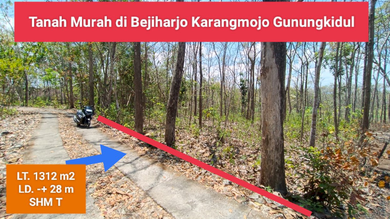 Jual Tanah murah strategis kebun jati di Bejiharjo Gunungkidul