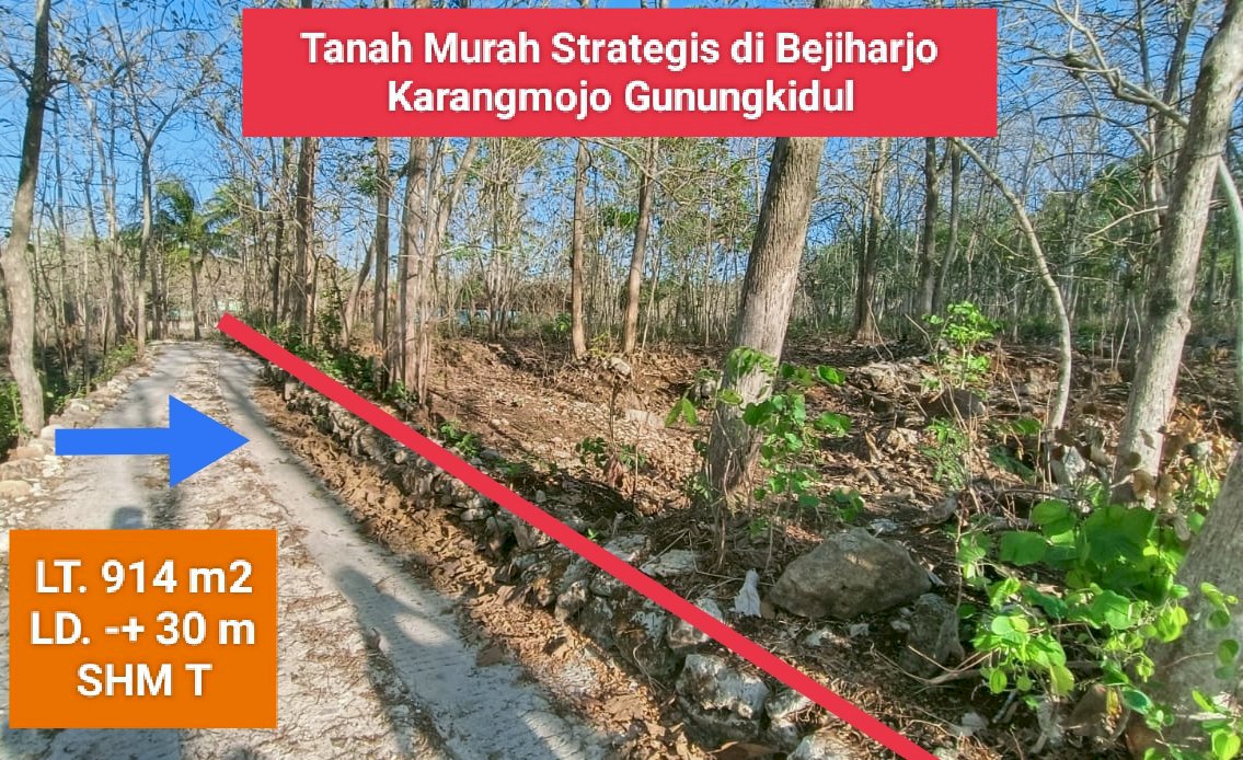 Jual Tanah murah meriah di Bejiharjo Karangmojo Gunungkidul
