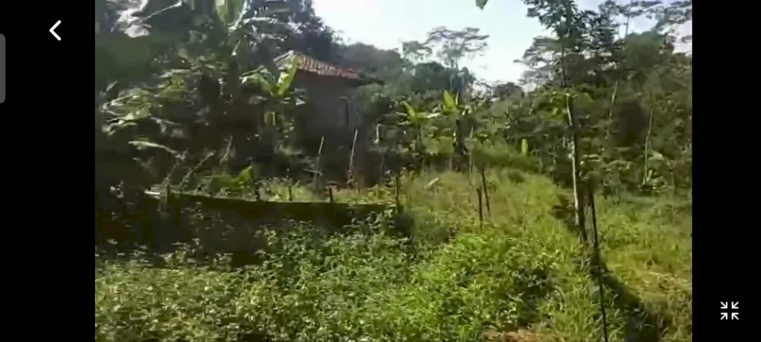 Jual tanah 6000 meter lagi butuh