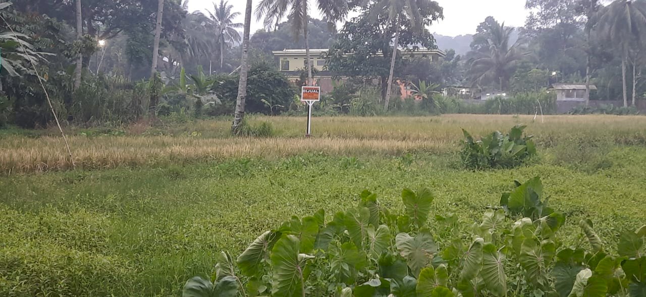 Dijual tanah pinggir jalan raya