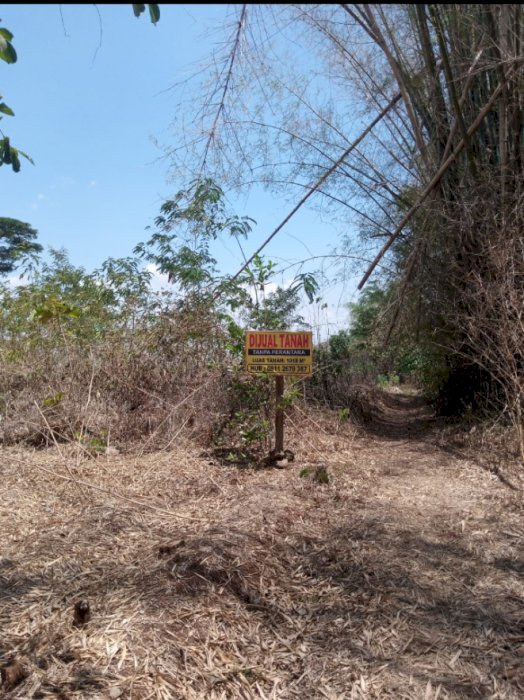 Dijual tanah lokasi stategis