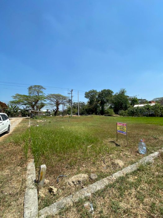 Di Jual Tanah Lokasi Strategis Di Mijen Demak Jawa Tengah