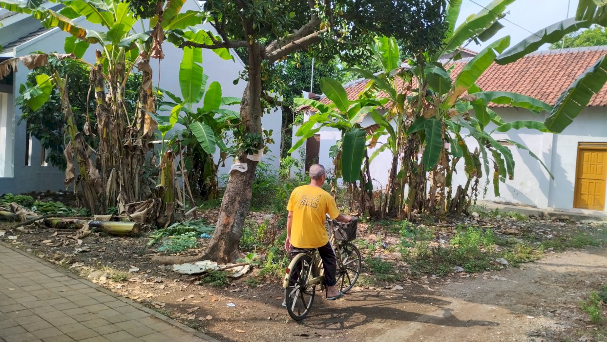 Dijual Tanah Kebun SHM di Ambokembang, Kedungwuni, Kab. Pekalongan