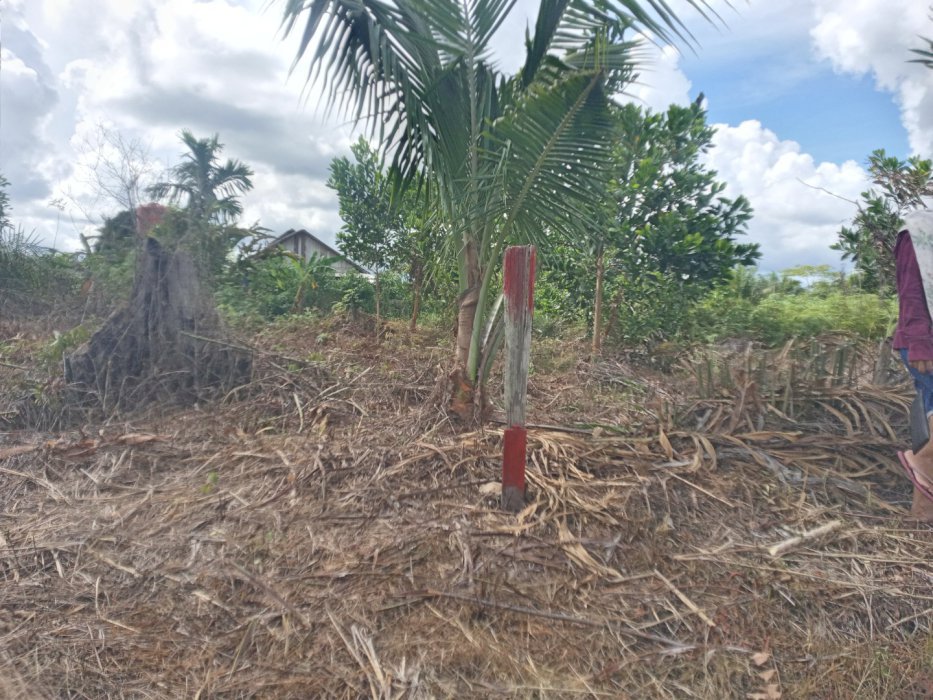 Dijual cepat tanah ukuran  15×20