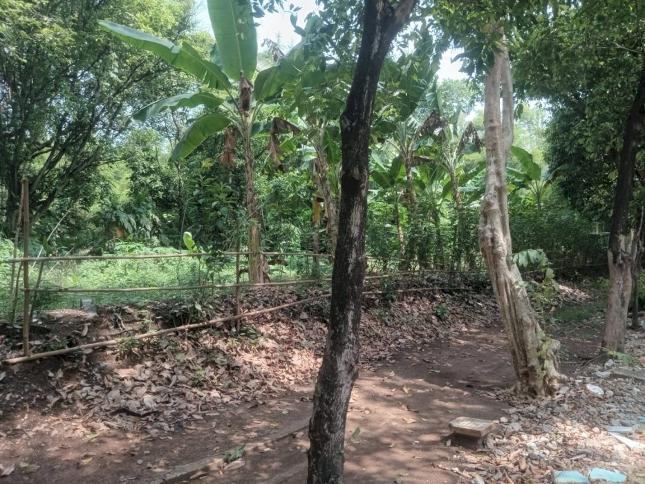 Di Jual Tanah Pinggir Jalan Raya Parung Bogor