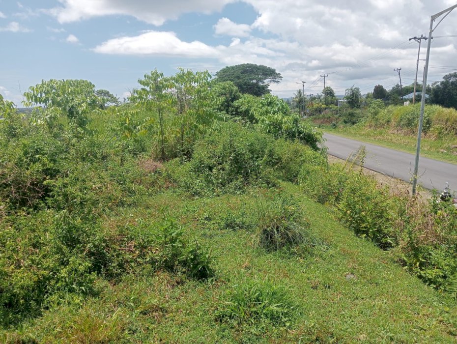 JUAL TANAH DI KAB.SORONG KILO 21 SEBELUM RS
