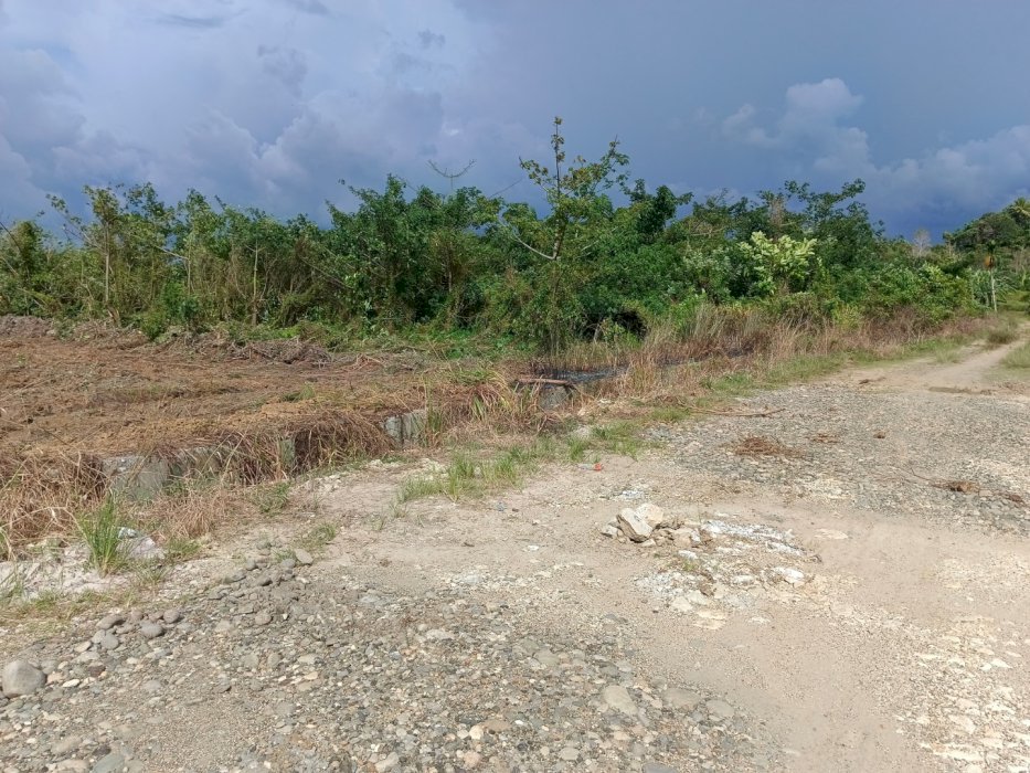 Jual Tanah Kapling Jumbo Hrg Murah Akses Jalan bagus Ramai Penduduk