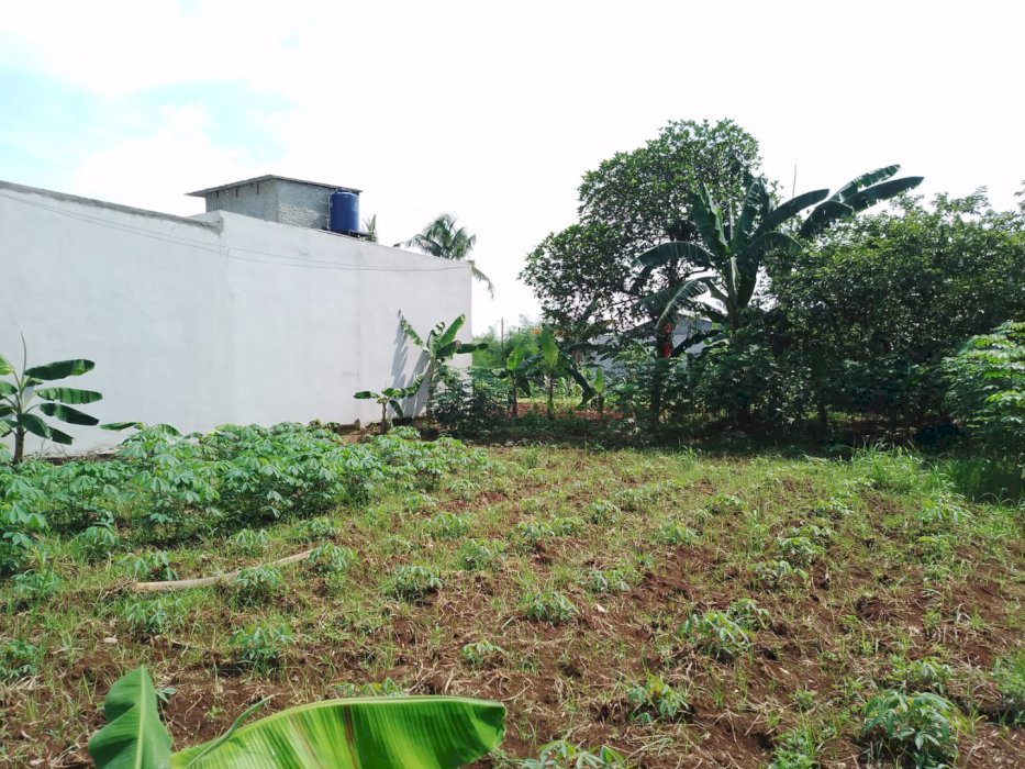 Dijual sebidang tanah milik pribadi di sawangan depok