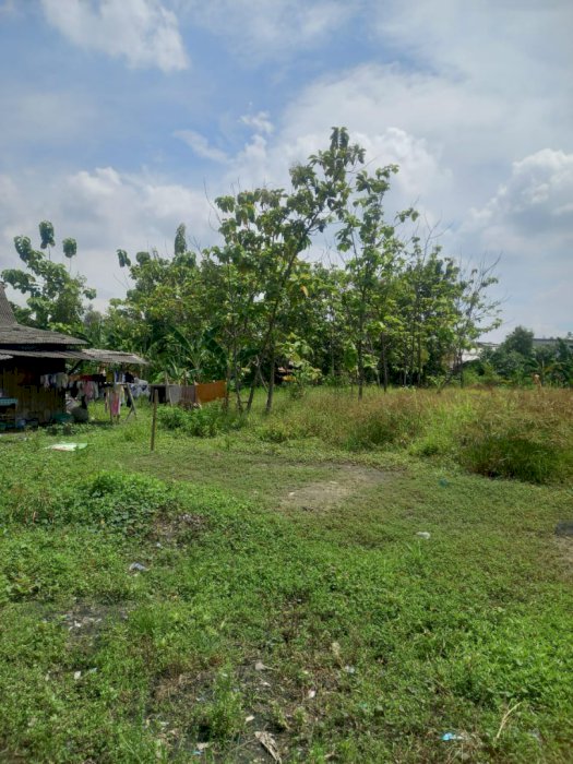 Di Jual Tanah Murah Lokasi Strategis Di Mranggen Demak Jawa Tengah