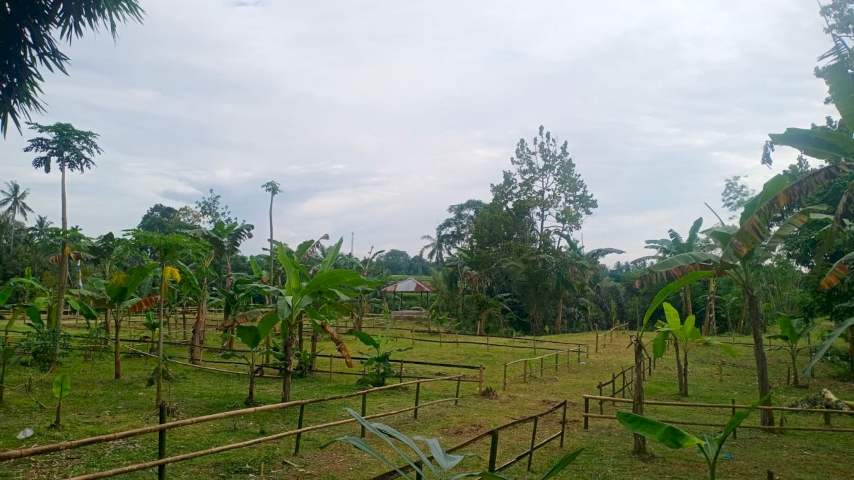 Dijual kavling lokasi strategis di Narmada, NTB