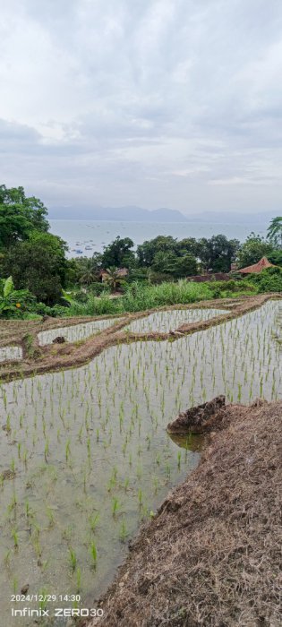 DI JUAL TANAH KOSONG COCOK Untuk bangun RESORT VILLA dan impestasi