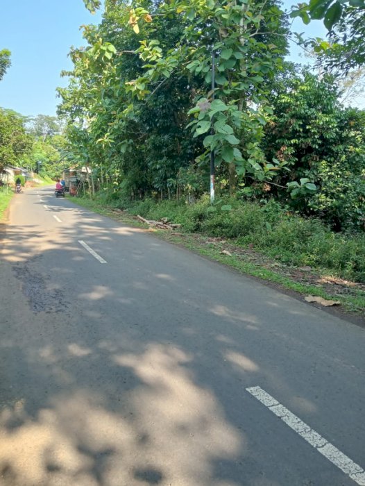 Tanah produktif pinggir jalan dekat kantor desa