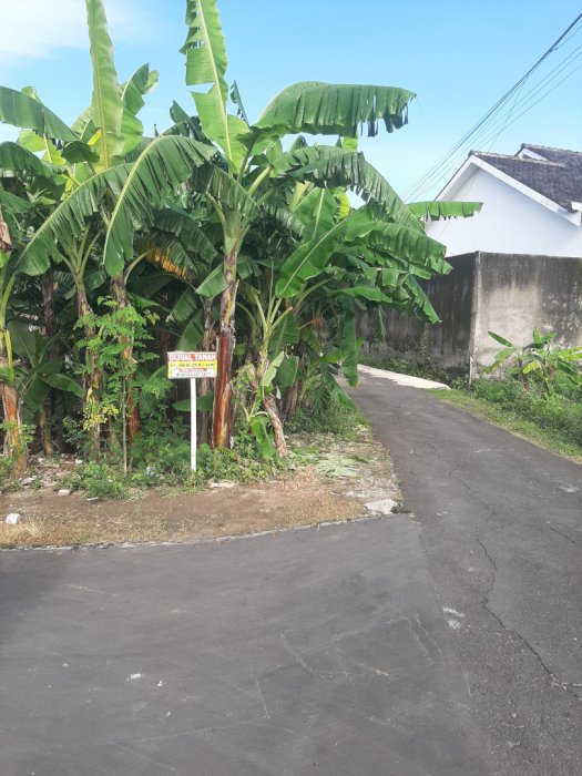 Dijual tanah SHM dekat perumahan di gondangan,  pilangan, baturan