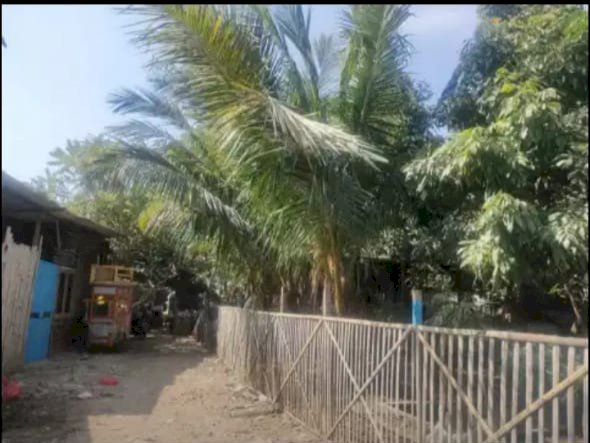 Dijual tanah harga terjangkau cocok untuk investasi lokasi strategis