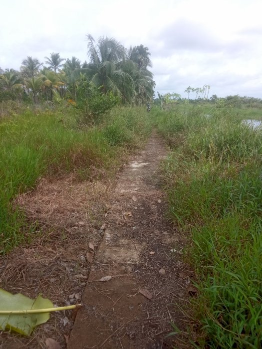 Jual tanah kosong lokasi jungkat