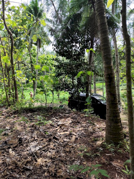 Tanah pekarangan cocok untuk homestay dekat klayar