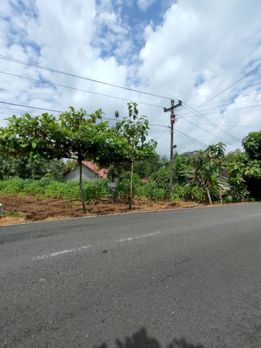 TANAH MURAH MANGKU JALAN PROVINSI