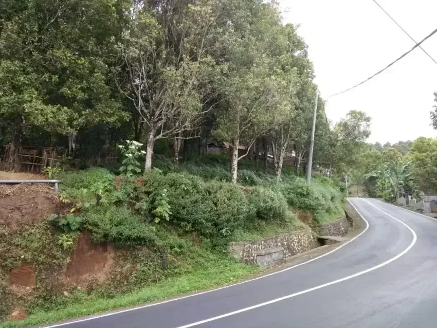 Tanah view gunung da lembah jalan utama Desa Munduk