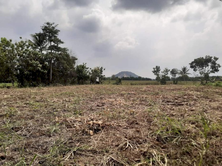 Dijual Tanah Di Daerah Natar, Lampung Selatan