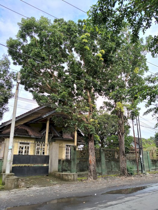 Di Jual Rumah Strategis Pinggir Jalan Di Desa Rakam Lombok Timur