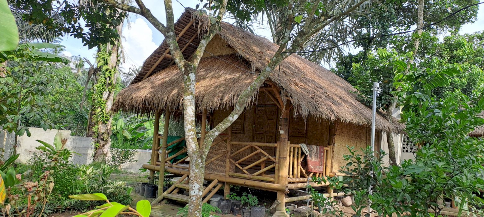 Di jual tanah kebun siap panen