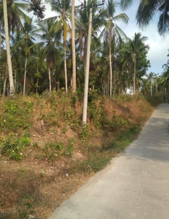 Jual Tanah Murah Lokasi Suak Sidomulyo Lampung Selatan