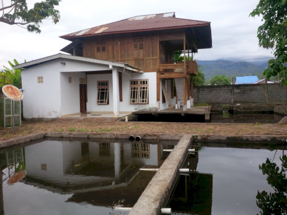 Rumah cocok usaha ikan air tawar