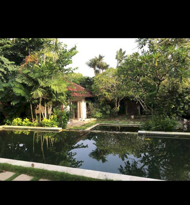 TANAH DI JUALBATU BELIG SEMINYAK 11,5 ARE (1150M2)
