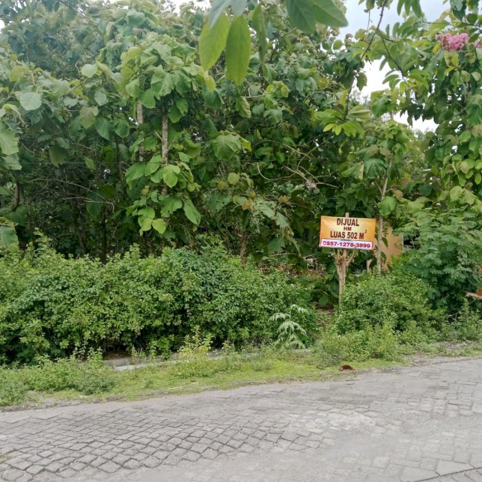 Di Jual Tanah Strategis Pinggir Jalan Desa Sembung Ngawi