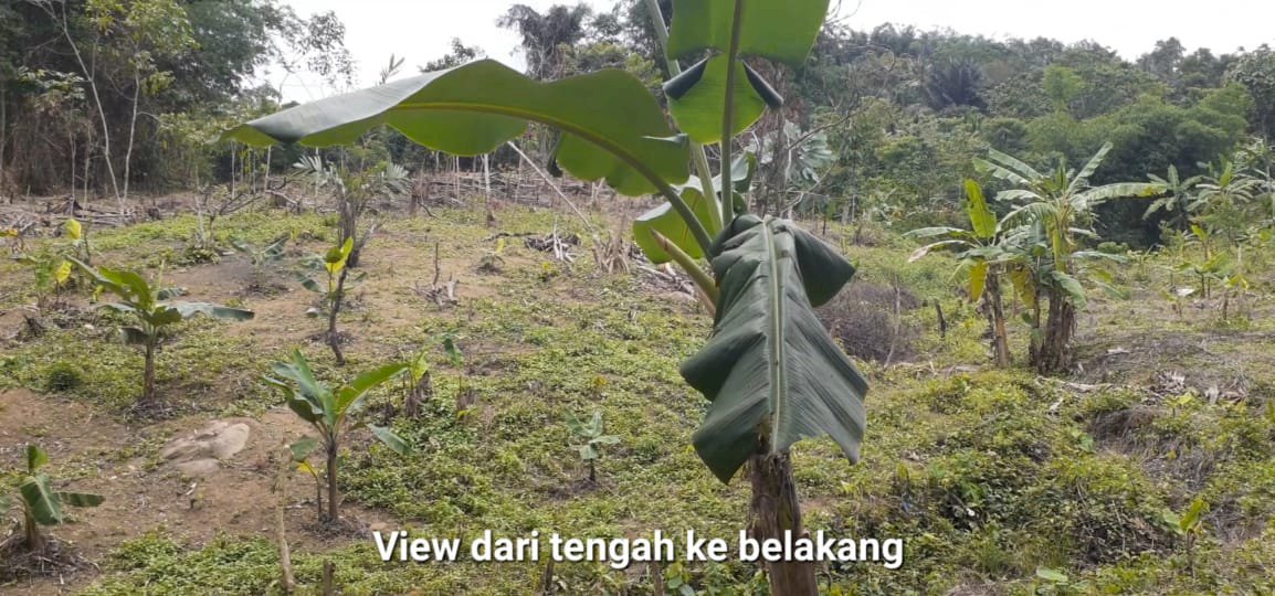 Tanah Jonggol diskon 45%, SHM an. sendiri,  NET 125rb/m2