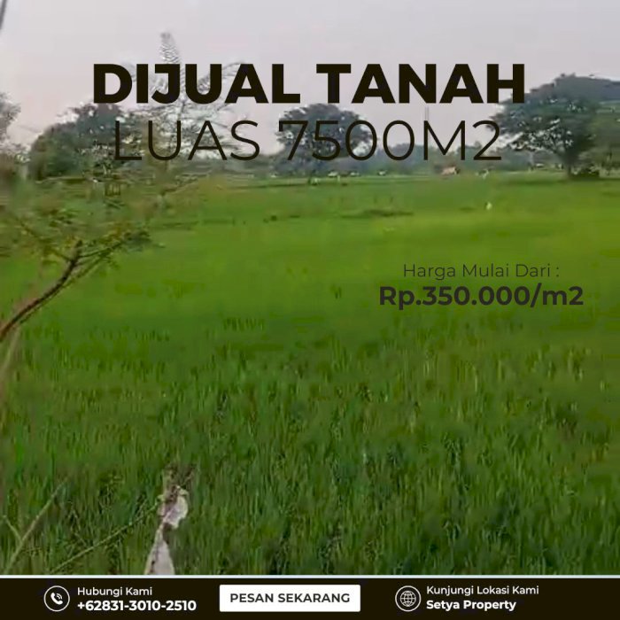 Tanah Murah Daerah Suramadu
