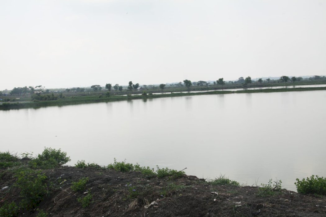 Tanah Tambak Murah Gresik