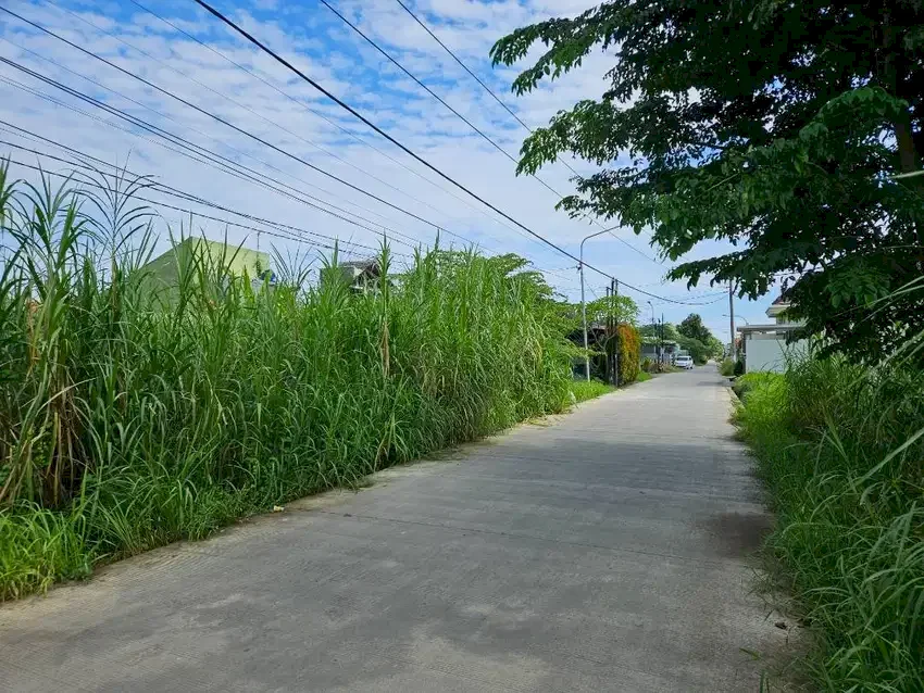 Jual Tanah Pekalongan Jl H. Sabrawi Lokasi Strategis