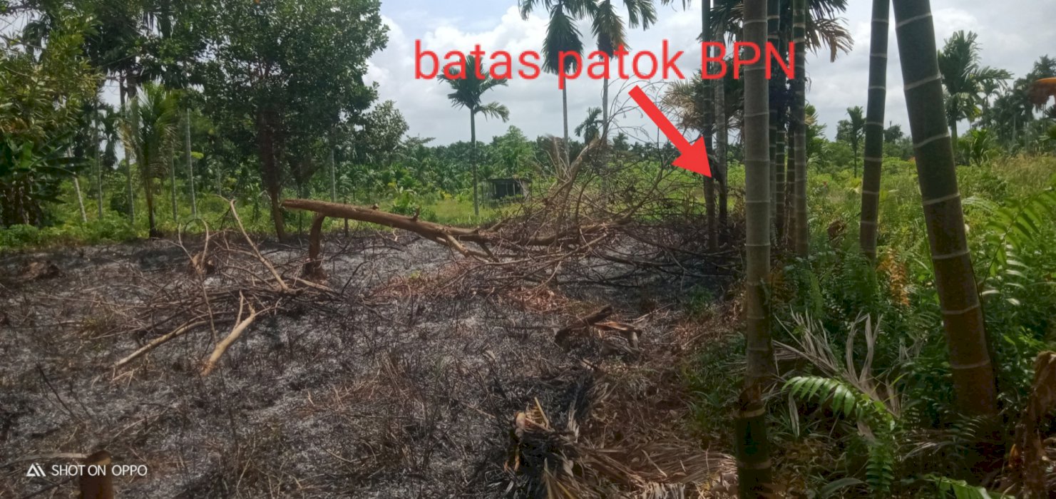 Di jual tanah 5 tumbuk
