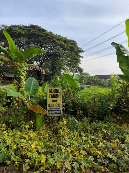 Dijual tanah strategis peluang investasi yang menguntungkan semarang