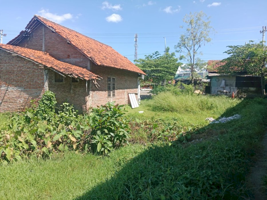 Dijual tanah lokasi strategis untuk investasi di Brebes