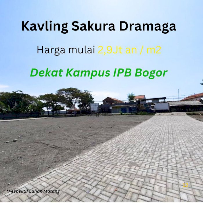Jual Kavling Murah Dekat IPB Dramaga Bogor, Investasi Menguntungkan!