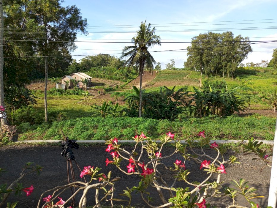 Bismillah jual  tanah
