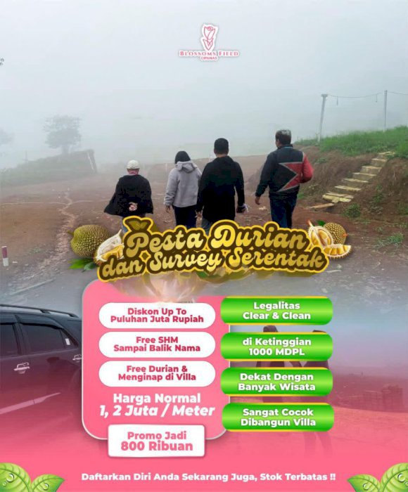 Tanah strategis untuk bangun villa atau resort daerah cipanas puncak