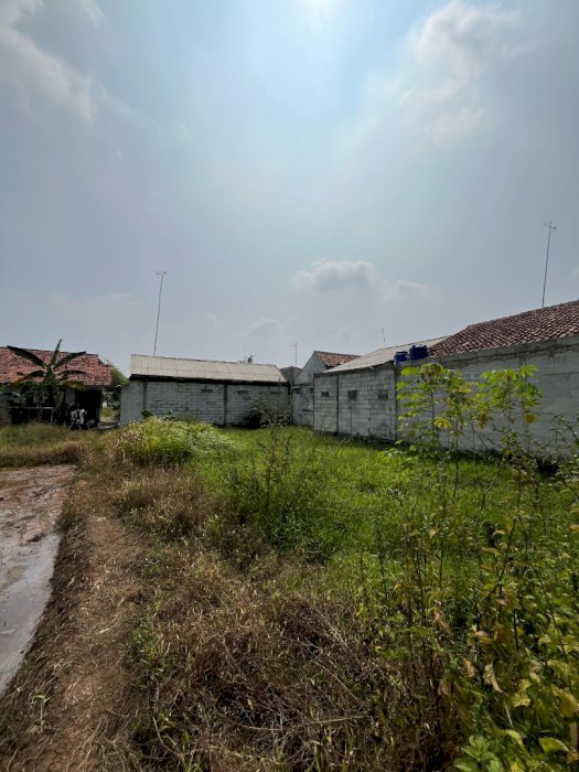 Tanah Kavling cocok untuk hunian